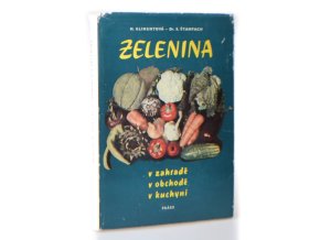 Zelenina v zahradě - v obchodě - v kuchyni