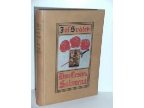 Don Cesar a Salomena : román ze století XVII.