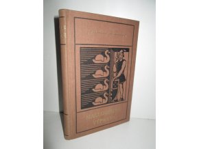 Maeldunova výprava a jiné povídky (1928)