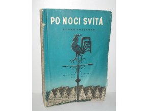 Po noci svítá : Román