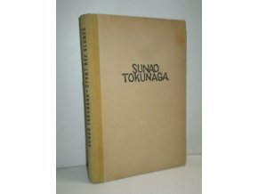 Čtvrt bez slunce : román