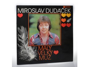 Malý velký muž