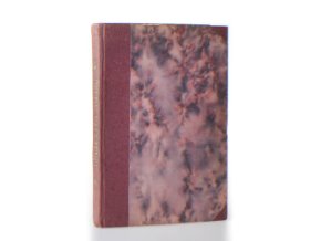 Podivné osudy nalezence Vojtěcha