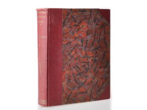 Daisy:dívčí román ze střední Ameriky (1920)