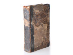 Přeletaví ptáci : román