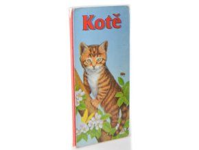 Kotě