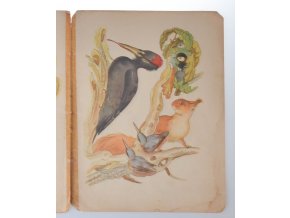 Obětavá Zrzečka (1945)