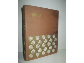 Jindra : obraz z našeho života (1921)