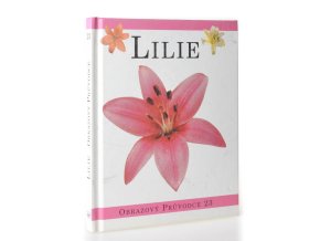 Lilie