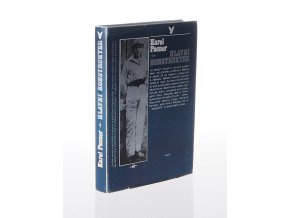 Hlavní konstruktér