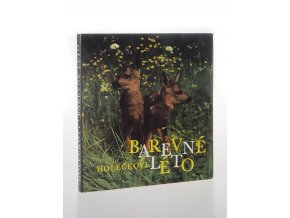 Barevné léto : fot. publ.(1974)