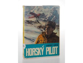 Horský pilot