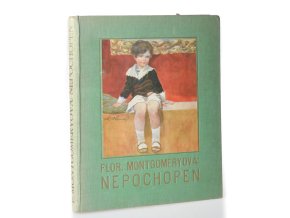 Nepochopen: Povídka
