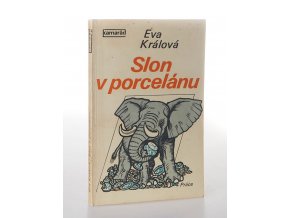 Slon v porcelánu