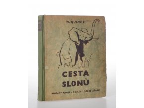 Cesta slonů : román