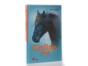 Hrdina noci