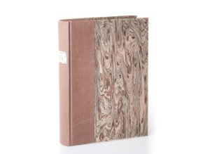 Muž a stín : pražský detektivní román (1932)