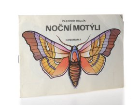 Noční motýli
