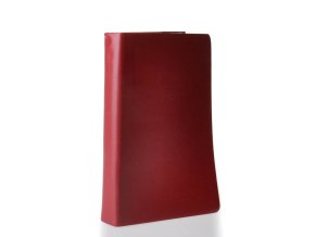 Biblí svatá, aneb, Všecka Svatá písma Starého i Nového zákona : podle posledního vydání kralického z roku 1613