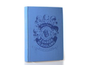 Záhada hlavolamu : přepodivný příběh ze života "Rychlých šípů"