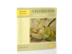 Chameleon jemenský