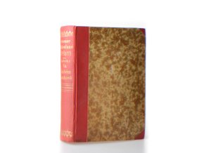 Zatoulané štěstí : jihočeský obrázek