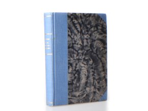 Syn odsouzencův (1926)