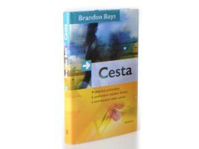 Cesta