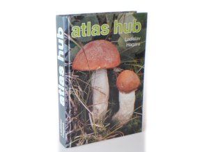 Atlas hub (1993)