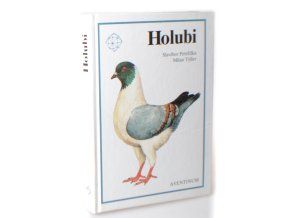 Holubi