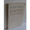 Jesenin a Pasternak : překlady jejich veršů