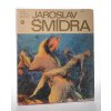 Jaroslav Šmídra : Umělec-komunista