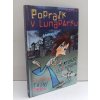 Poprask v Lunaparku : Flippin tajný deník