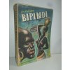 Bipindi-černošský román