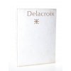 Delacroix : román malíře hrdiny