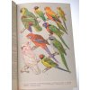 Světem zvířat. Díl 2, Ptáci, část 1-2 (1963)