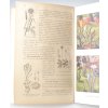 Rostlinopis a nauka o Zemi pro I. a II. třídu středních škol (1938)