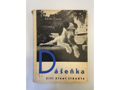 E2B803C5 49A2 4EA7 A16A CC44CCD37E19