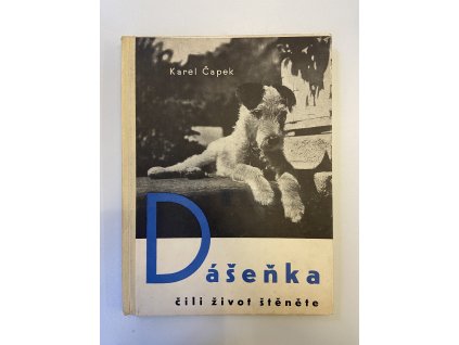 DE5F6E4C 0F17 4C02 B9CF 4F7304421E55