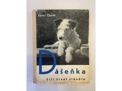 B1648CA5 EB67 4388 B0E2 49E672DD3AE4