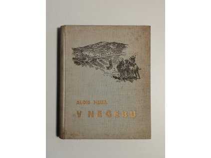 V Negebu
