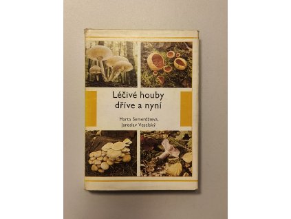 Léčivé houby dříve a nyní