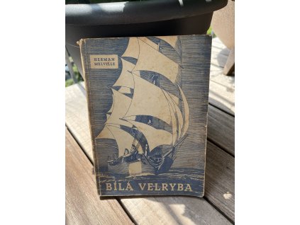 Bílá velryba