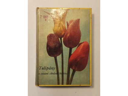 Tulipány a ostatní cibulové květiny