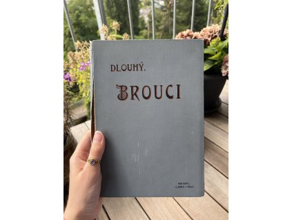 Dlouhý, Brouci