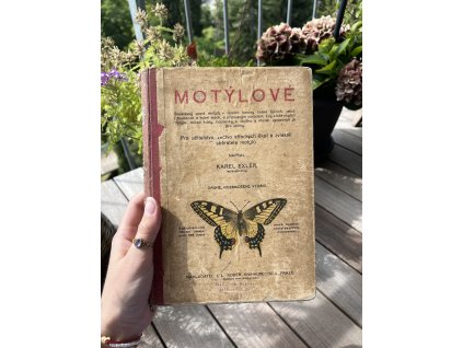 Motýlové : soustavný popis motýlů v zemích koruny české žijících, jakož i housenek a kukel jejich, s připojeným návodem, kdy a kde chytati motýle, sbírati kukly, housenky a vajíčka a kterak upravovati je pro sbírky