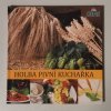 Holba pivní kuchařka