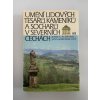 Umění lidových tesařů, kameníků a sochařů v severních Čechách