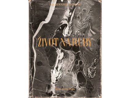 416915 zivot na ruby deset uvah o zivote