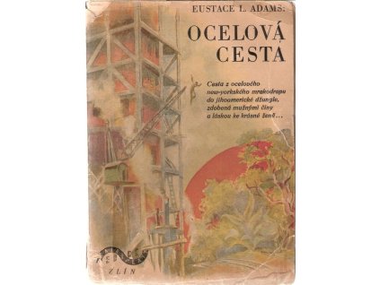 417416 ocelova cesta